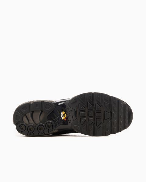 Кросівки Nike Air Max Plus PRM HJ4519-200 фото