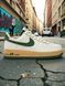 Кросівки Nike Air Force 1 07 DZ4764-133 фото 1