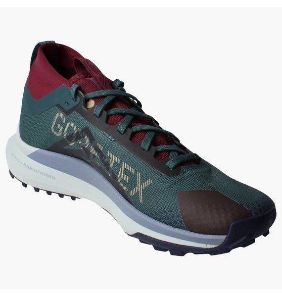 Кросівки Nike React Pegasus Trail 4 Gore Tex V2 HM9728-300 фото