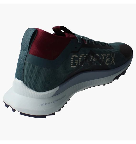 Кросівки Nike React Pegasus Trail 4 Gore Tex V2 HM9728-300 фото